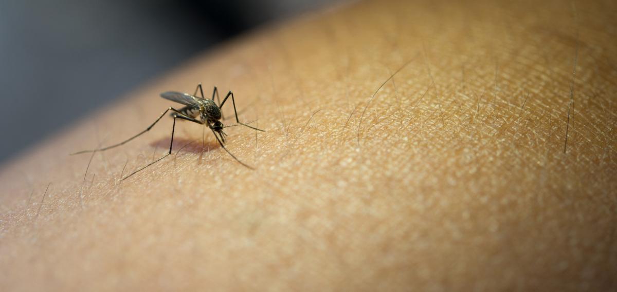 Mesmo com os dias de frio e expectativa de diminuição de focos do mosquito, situação da dengue continua preocupando o setor de saúde do município