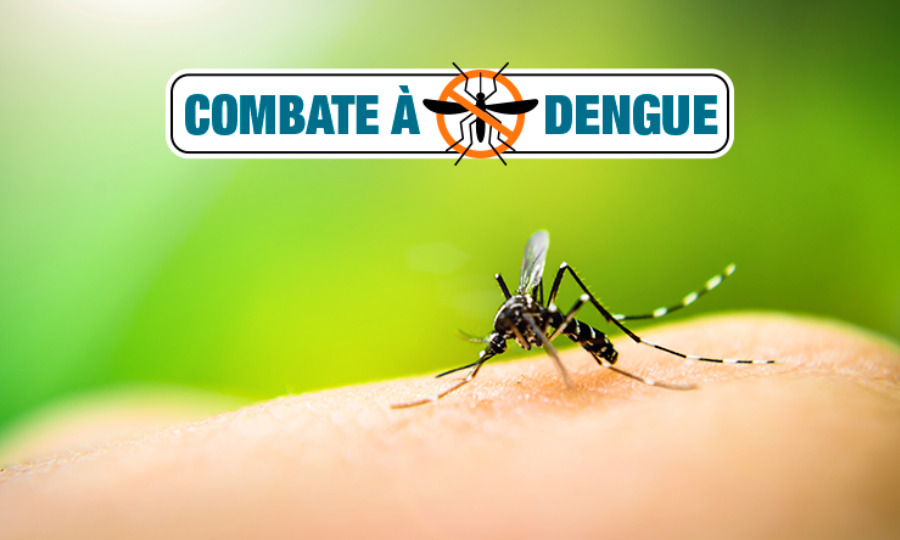A vacinação contra a dengue caminha lentamente em Santa Catarina