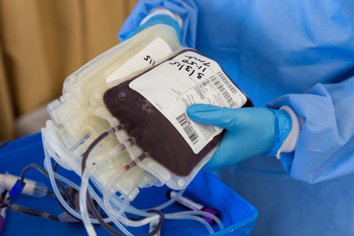 Dia do Doador de Sangue reforça a segurança do processo de doação para quem doa e recebe